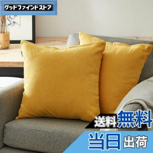 yzTopfinel NbVJo[ lۂ 45×45cm k  Ȗ n \t@w Jo[ zcJo[ CG[ 2ZbgiS10Fj