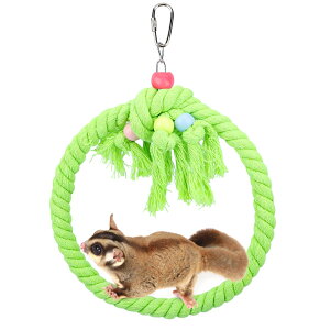 yzSegarty K ܌ ̂ڂV {\h ^s΍ ̗͏ ₵Ȃ ̗Vя nX^[ K X `` bg ObYɓK