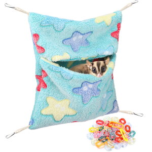 yzSegarty KB XnbN ۉ Q nbN  tFbg nX^[ nlY~ ݂艺t