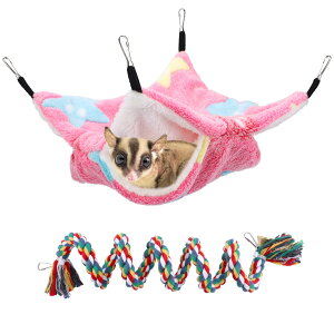 yzSegarty KnbN XnbN ۉ Qܓw nbN  tFbg nX^[ nlY~ ݂艺t