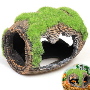 yzPAVIKE  B E[p[[p[ _J  GrB ۂނCM  CAEg ANAE  IuWF  I[ig   ^ u  ߋ 