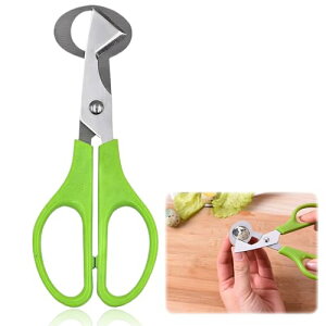 yzDELUXEFOX 痑͂  Jb^[ ̗̂͂ XeXGbOJb^[ kjc[ nIȒ̗̂͂ sőϖՐ Lb`c[ ̊k؂