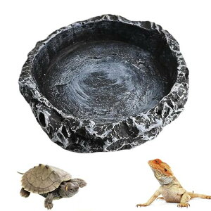 yzCHENLONB ঒ސM EH[^[fBbV R̊C[W gՂ gJQ T T\   ঒ޗp a{E GTM 8*8*2cm