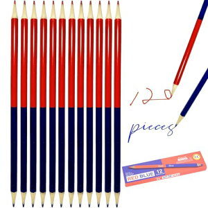 yzDFsucces ԐMw 12{ Zp wK ۂp ܂ɂ ϋv GM A[gNtgpi l S qp