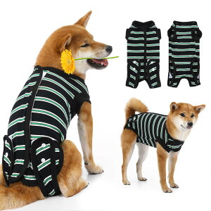 yzp㕞 ybgp Pawaboo ybgpp㕞 p Lp 앞 D p pEFA ی r߂Ȃ }WbNe[v Yp rɉeȂ  畆ی