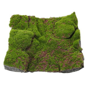 yzPRETYZOOM lH  }bg pbh Ő }bg A Ő  tFCN X }bg d   tFCN   A pbh h[nEX }CN i ANZT[