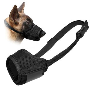 yz  ʋCp}Y }Y \Ȍp֖ʖih~ EH Ƌj h~ _炩̌ی삷 ^^^pݕth~ih~rߗpOb