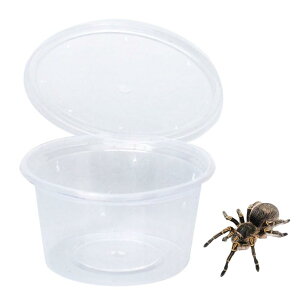 yzSATiNU vJbv Jbv  P[X P[X ώ@P[X 甠 P[W Yt   ώ@ JugV NK^ c P[X   ɐBe