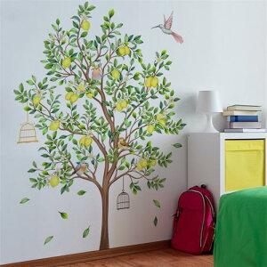 yzCondessacity EH[XebJ[  c[  k A ǃEH[XebJ[  ϗtA EH[V[   iF ͂ EH[Ă[ q j