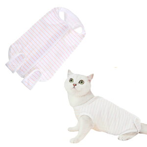 yzBTtime L  p㕞 pJo[ ی DpPA pEFA 앞 ʋC _炩 ~h~ 畆ی IX Xp