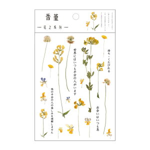 yzEZ PEACH R[Wf V[ t[N  ԁX  h g V[ PET R[WDIY  fގ  pbN V[V[g 蒠fR t  킢  