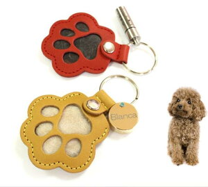 yzybg  P[X 2 ⍜ L[z_[ ʐ^  AObY ̃J^`  킢 ybg  L  LATTCURE