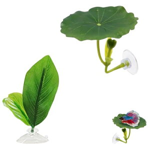 yzYIBOOOM x^xbh[t 2Zbg wlH zՕt x^̗̋t x^̎Yt x^pxe[t̑ Ϗ܋/Mы/ B ٓ Y ɐBp