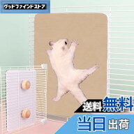 【送料無料】Refoiner モモンガ 爪研ぎ ケージ用フクロモモンガ おもちゃ爪研ぎマット デグー チンチラ …