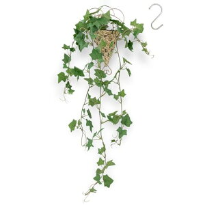 yzWillingYou tFCNO[ ݂艺 Ǌ| ZbgyIVȃoXPbgtzS80cm lH ϗtA tFCN y Mtg 