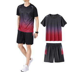 yz[BLOOMY CHIC] W[W X|[cEFA Y ㉺Zbg Of[V TVc n[tpc g[jO jO W z ʋC y   