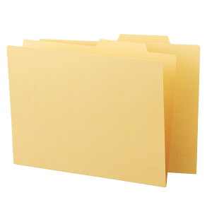 yzCI ʃtH_[ A4 A4-IF2 N[ 10