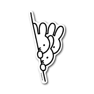 yzmiffy _CJbgrj[XebJ[ Ђ LN^[XebJ[ G{ CXg 킢 ǂ  gs ObY MIF049