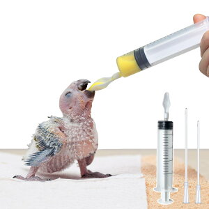 yzނɐHׂLbg Xv[ƃVW IẼXv[ pXv[ CR Xv[ aXv[ IE̕Xv[ ~N  a Ђȋa RȂ 