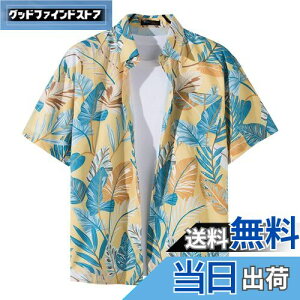 yz[Moerstar] AnVc Y AnVc fB[X J݃Vc  Vc Y eqyAbN  y   rb` s F FFF1123ATC