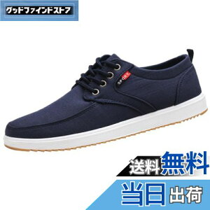 yz[Lopis] Y Xj[J[ y V[Y [Jbg JWA LoX C EH[LOV[Y  ɂ Sn FFlCr[ATCYF24.5 cm