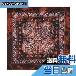 yz[kakatrend] o_i yCY[  100% Op l nJ` Rbg ΂񂾂 jZbNX hD[O 唻 Y 55cm×55cm FFA-i FATCYF55cm×55cm