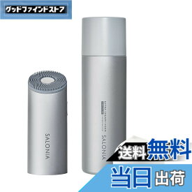 【送料無料】SALONIA サロニア 洗顔ブラシ イオンフェイシャルブラシ 色：シルバー