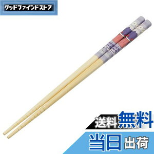 yzXP[^[(Skater) |S  | 21cm |PbgX^[ QK[  ANT4-A