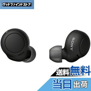 【送料無料】ソニー(SONY) 完全ワイヤレスイヤホン WF-C500 : /軽量小型5.4g/高精度通話品質/簡単ペアリング/IPX4防滴性能/ブラック WF-C500 BZ