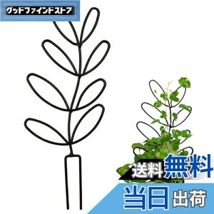 yzYUWENW |x Ax 1Zbg Ԃ Ԏx AT|[g ϗtA T|[g A|h~ Œ\ ėp\ AŒ A UT|[g 鐫Ap 