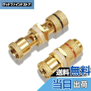 �y���������z�y�o�i�i�v���O���p ���X���X�zby �yWYVERN AUDIO�z �o�i�i�v���O������/���p�I ���v�≏���� ���X�̃��X WV-CHU-K ��1��1 (2��1�g)