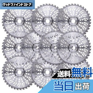�y���������zSHUZIYU �����@�p�`�b�v�\�[ 230x36P 10���g