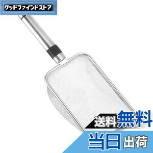 yzLEDMOMO LXRbv XeX| LXN[v ӂ邢XN[p[ S~XN[vz_[ r[`bVVx L 񂿂ӂ邢Vx bV XRbv  X