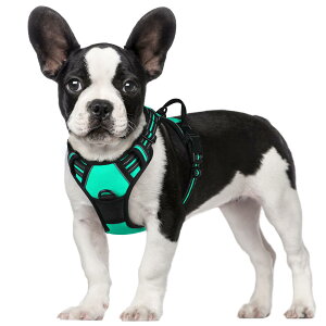 【送料無料】Rabbitgoo 犬 ハーネス 小型犬 5-15KG ソフト かわいい 犬用胴輪 引っ張り防止 負担が少ない首輪 サイズ調整可 夜間反射 抜けない 通気性 咳き込み防止 散歩 歩行補助 老犬介護 しつ