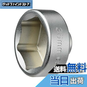 �y���������z(STRAIGHT/�X�g���[�g) �h�������I�C���t�B���^�[�J�b�v�����`36mm 12-6003
