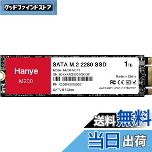 �y���������zHanye SSD 1TB ���� SATA M.2 2280 SATA III 6.0Gb/s M200 ���K�㗝�X�i ���[�J�[3�N