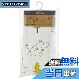 yzXP[^[(Skater) bt n ӂ3 [~ 31×41cm KFWC3-A