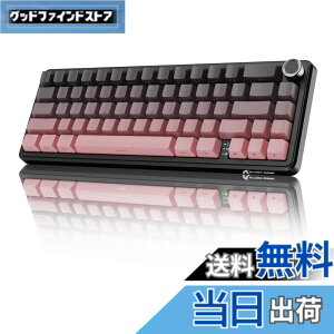 �y���������zMAMBASNAKExATTACKSHARK X66 �Q�[�~���O�L�[�{�[�h 65%���C�A�E�g �K�X�P�b�g �z�b�g�X���b�v�Ή� �O�̐ڑ����[�h 2.4Ghz����/Bluetooth/USB-C�L�� ���J�j�J�� �����{�����[���m�u�t�� ���