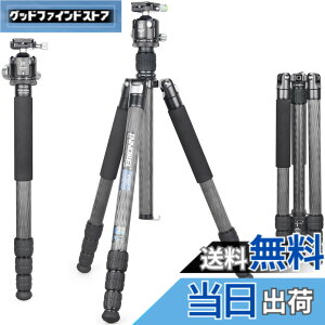 �y���������zINNOREL RT85C �J�[�{�� �O�r �{�[���_�� �L�b�g 184CM �g���x���O�r �v���� �i�b�g���b�N�� �G���x�[�^�[�� �ω׏d 25KG �l�i�r ��r�ώ� �p�C�v�a32mm ���y�� �^���� �o�R ��O �쒹 