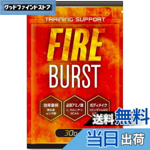 �y���������z�yFIRE BURST�z L-�J���j�`�� BCAA �T�v�� �^�u���b�g ���I�f�� 30����