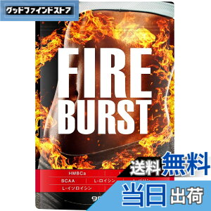 �y���������z�yFIRE BURST�z L-�J���j�`�� BCAA�z�� �T�v�� ���I�f�� 90����