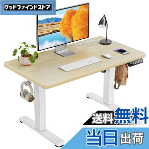 �y���������zErGear �d�� ���~���f�X�N ���[�^�C�v �F�F�i�`�������ؖڒ��A�T�C�Y�F90*50cm