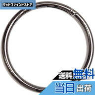 【送料無料】[GOOHO] グッホ 丸型カラビナ サークルカラビナ 丸カン 外径86mm 特大サイズ 2個セット (ガ…