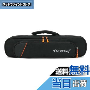 �y���������zMoonEmbassy �f�W�^���Ǌy��\�t�g�P�[�X,Roland AE-01 �G�A���t�H����p�o�b�O,�V�����_�[�X�g���b�v