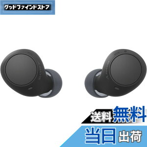 �y���������z�\�j�[(SONY) ���S���C�����X�C���z�� WF-C500/WF-C510 :/�����x�ʘb�i��/IPX4�h�H���\ �F�F�u���b�N�A�T�C�Y�F���^�y��