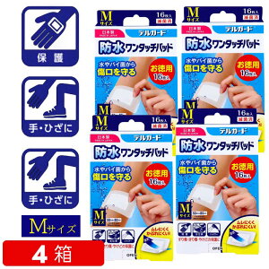 ypz fK[h h^b`pbh MTCY i1F16j [  ] ŋە JnpoŎg hSV[g Ԃɂ 