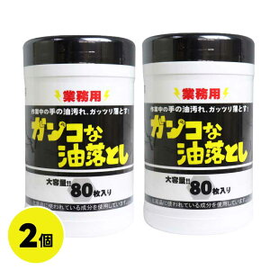 KRȖƂ {g i1F80j@Ɩp N[i[ EFbgV[g 