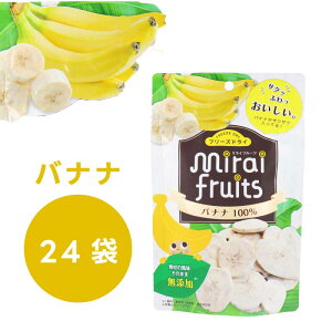 mirai fruits ~Ct[c Y b  oii pCibvb t[YhCt[c A\[g ʎ̂܂ ʎ100 Esgp VH 