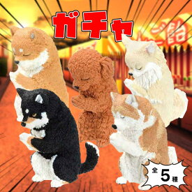 【全5種類】 ガチャガチャ フィギュア 「 合掌 匠 犬拝 」 BOX （1箱：1つ入り） ｜どれが届くかはお楽しみ！｜ おもちゃ 人形 直送