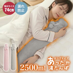  Ki 䂽   e2.5L GNXgO _炩 Jo[t zcp GR ȃGl Lv hObY ₦΍ Mtg 2.5L